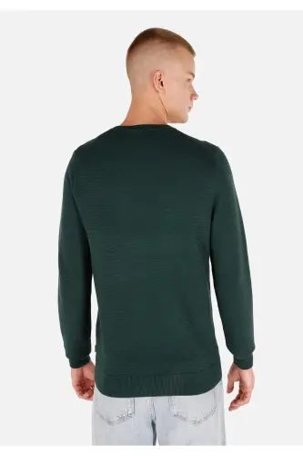 Normal Fit Crew Neck Green Men's Sweater Cl104 - 4