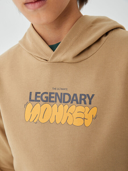 Nostalgic Monkey Print Long Sleeve Boys Hoodie - 15