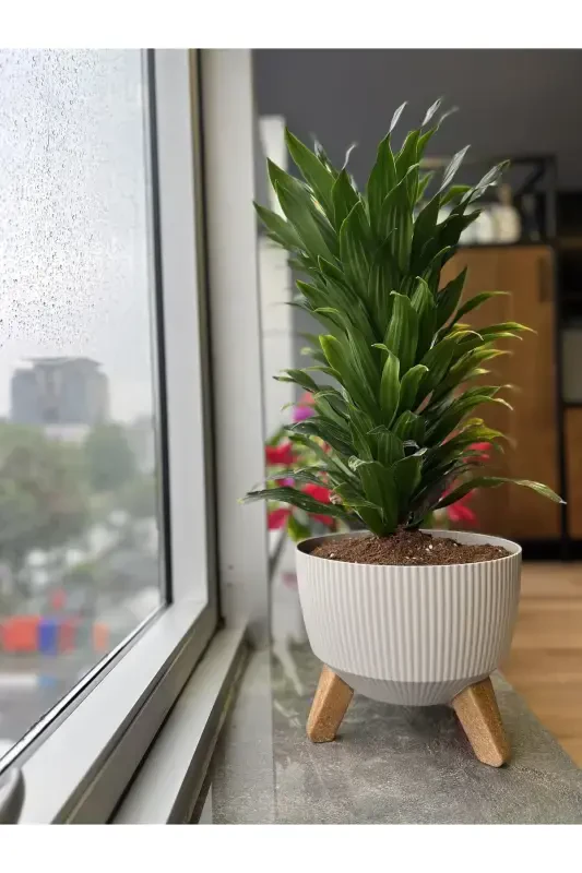 Nostalji Ayaklı Saksı: 29 Cm (8 LİTRE)-Gri - 1