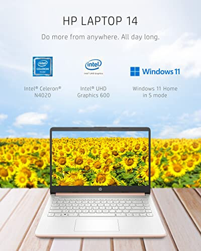 Ноутбук HP 14, Intel Celeron N4020, 4 ГБ ОЗУ, 64 ГБ хранилища, 14-дюймовый HD-дисплей с микрорамкой, Windows 11 Home, тонкий и портативный, 4K-графика, один год Microsoft 365 (14-dq0030nr, бледно-розовое золото) - 2