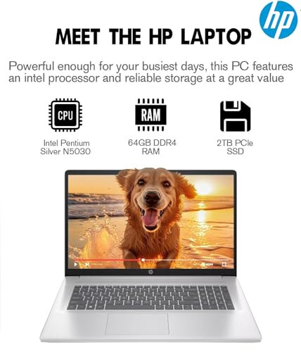 Ноутбук HP 2024 Новейший 17, 17.3” HD+ Сенсорный экран, Intel Pentium Silver N5030, 64 ГБ DDR4 ОЗУ, 2 ТБ SSD, Windows 11, 1 год Office 365, Долгое время автономной работы, Веб-камера, Wi-Fi, USB-C, Серебристый - 3