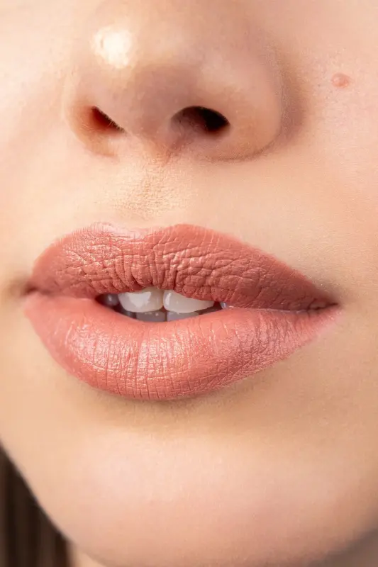 Nude Lipstick 536-brown - 2