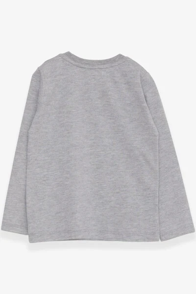 O'g'il bolalar uchun uzun yengli futbolka Dinozavr kashtali 9 oy-3 yosh, kulrang melanj - 2