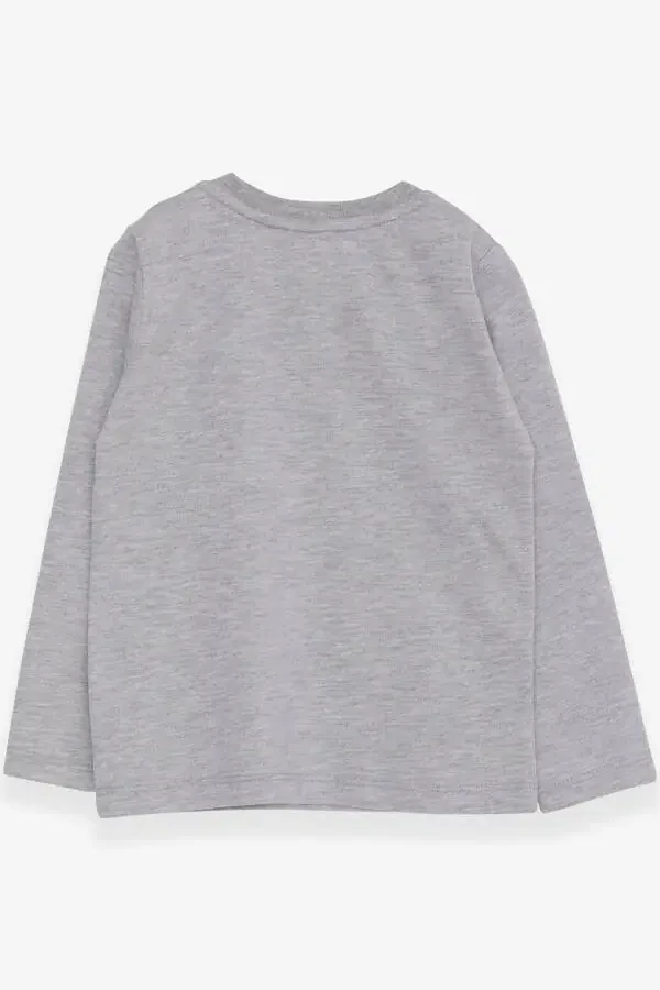 O'g'il bolalar uchun uzun yengli futbolka Dinozavr kashtali 9 oy-3 yosh, kulrang melanj - 2