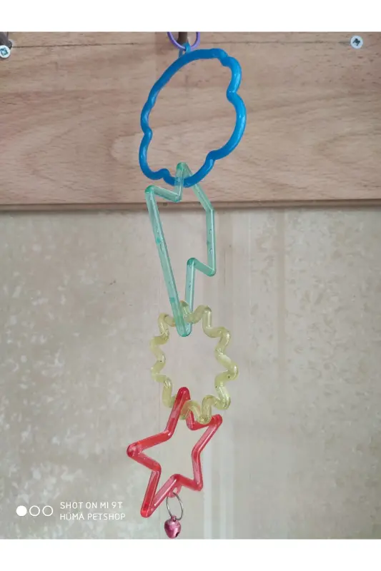 Olympic Ring Bird Toy for Birds - 2