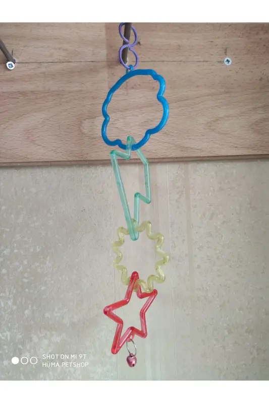 Olympic Ring Bird Toy for Birds - 3