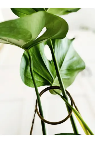 Опора для растений / Черная металлическая крючковая модель 65 см / 1 шт. / Лестница для вьющихся растений - 8