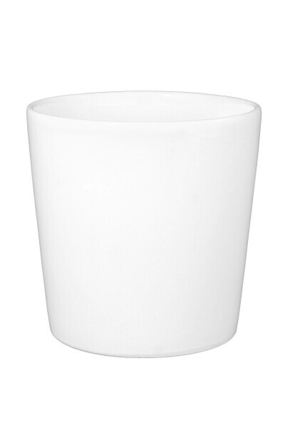 Orchid Ceramic Pot Q12 - SOLO PLANT