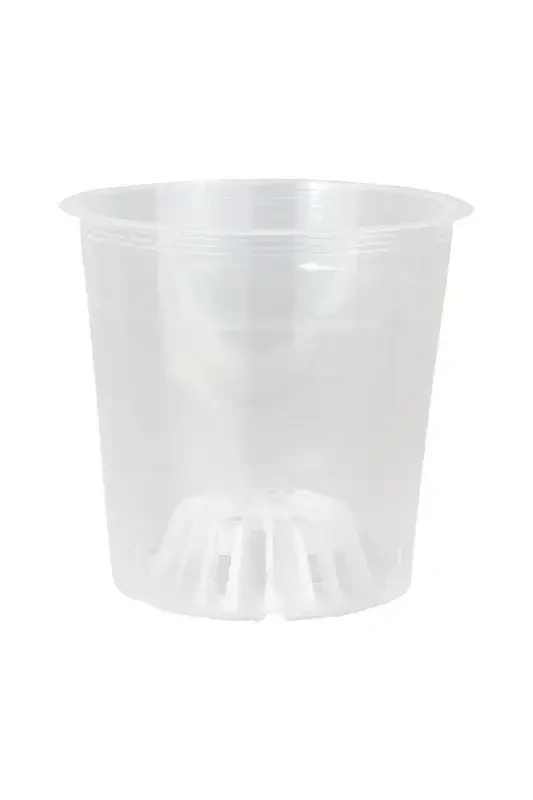 Orchid Growing Pot 12 Pack 0.75lt Clear Plastic Pot - 5