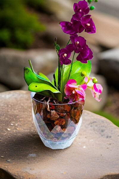 Orchid Pot with Plate Transparent Decorative Plastic Pot Yakamoz Orchid No.3 - TEMMUZ HOME