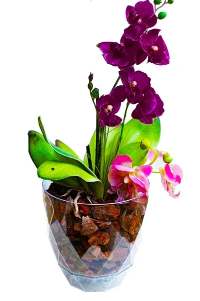Orchid Pot with Plate Transparent Decorative Plastic Pot Yakamoz Orchid No.3 - TEMMUZ HOME (1)