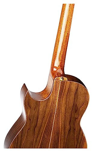 Ortega Guitars 6 String Signature Series Ben Woods Solid Top Thinline Crossover Acoustic-Electric Nylon Classical Guitar w/Bag, Right (FLAMETAL-TWO) - 6