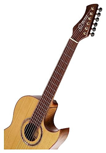 Ortega Guitars 6 String Signature Series Ben Woods Solid Top Thinline Crossover Acoustic-Electric Nylon Classical Guitar w/Bag, Right (FLAMETAL-TWO) - 7