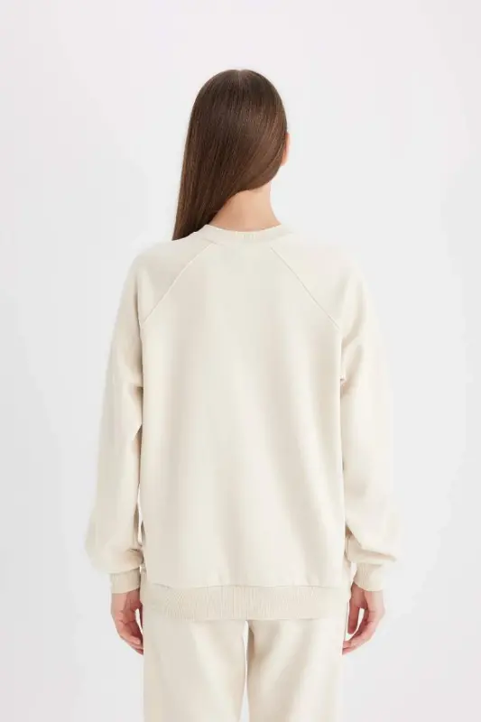 Oversized Loose Bike Collar Basic Plain Thick Sweatshirt Sand - 6