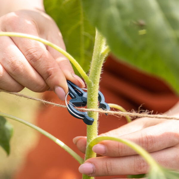 OwnGrown Plant Clips: 50xPlant Support Clips Size M – Climbing Plant Support for Climbing Plants – Garden Clips for Climbing Plants – Plant Ties - 2