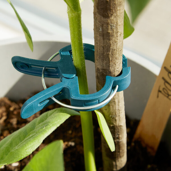 OwnGrown Plant Clips: 50xPlant Support Clips Size M – Climbing Plant Support for Climbing Plants – Garden Clips for Climbing Plants – Plant Ties - 6