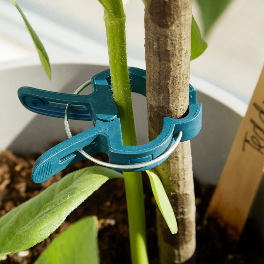 OwnGrown Plant Clips: 50xPlant Support Clips Size M – Climbing Plant Support for Climbing Plants – Garden Clips for Climbing Plants – Plant Ties - 6