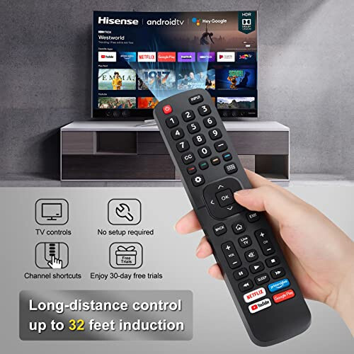 【Pack of 2】 New Universal Remote for All Hisense TV Remote, 2 Piece Replacement Control EN2A27 for Hisense-Smart-TV-Remote, with Netflix, Prime Video, YouTube, Google Play Buttons - 5