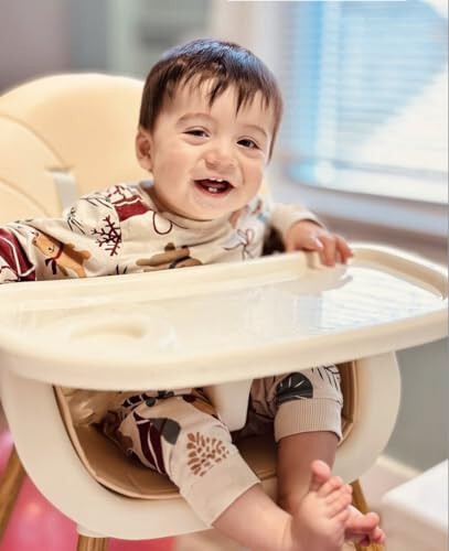 PandaEar 3-in-1 High Chairs for Babies Toddlers, Convertible Infant Highchair with Removable Tray & Safety Harness Adjustable Legs - 21