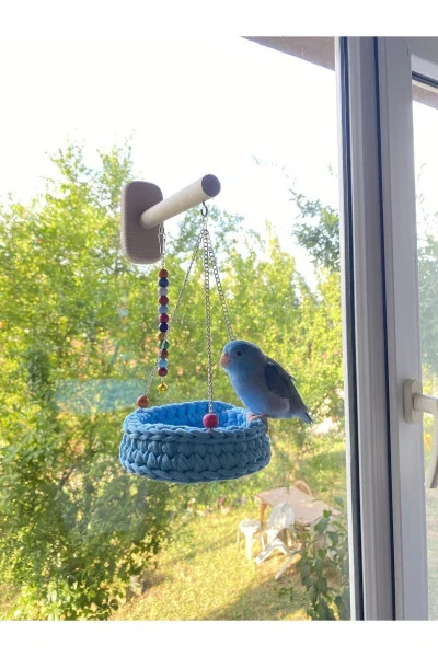 Parakeet Budgie Suction Cup Glass Bed - 1