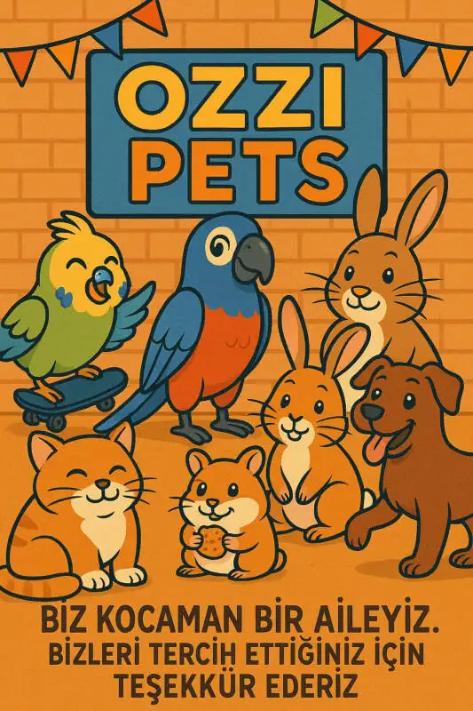 Parakeet Natural Wooden Bell Beaded Swing + Surprise Gift - 4