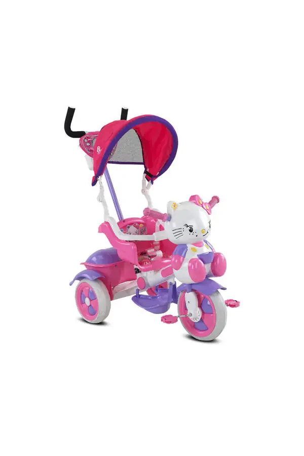 Parent-Controlled Music Tricycle - 3