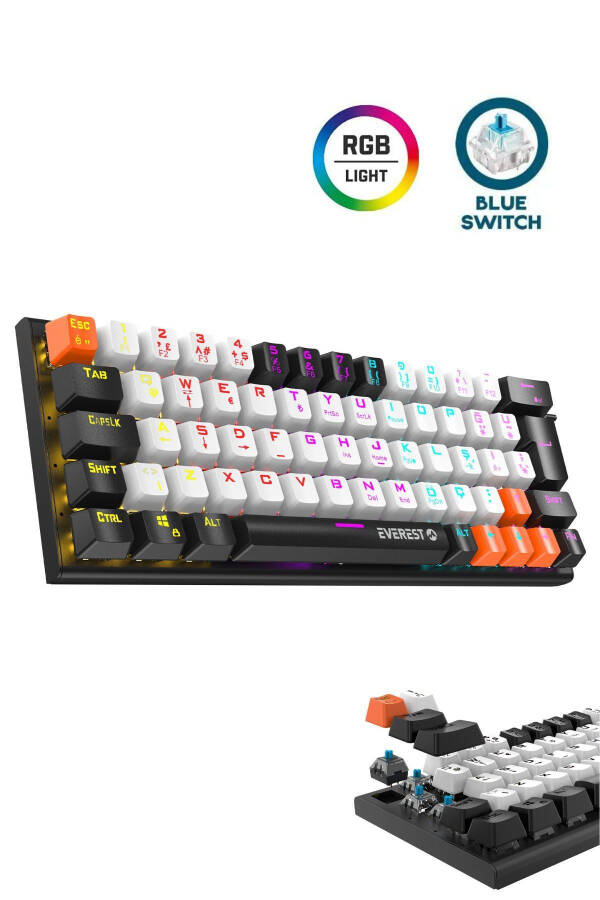 PARLEY Black/White Rainbow Illuminated Turkish Q Blue Switch Wired Mechanical Gaming Keyboard - 8