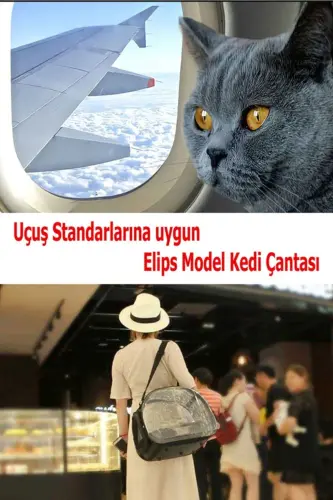 Pati Desen Kedi Köpek Sırt Kol Ve Omuzda Taşınabilir Evcil Hayvan Taşıma Çanta Siyah - Siyah - 6