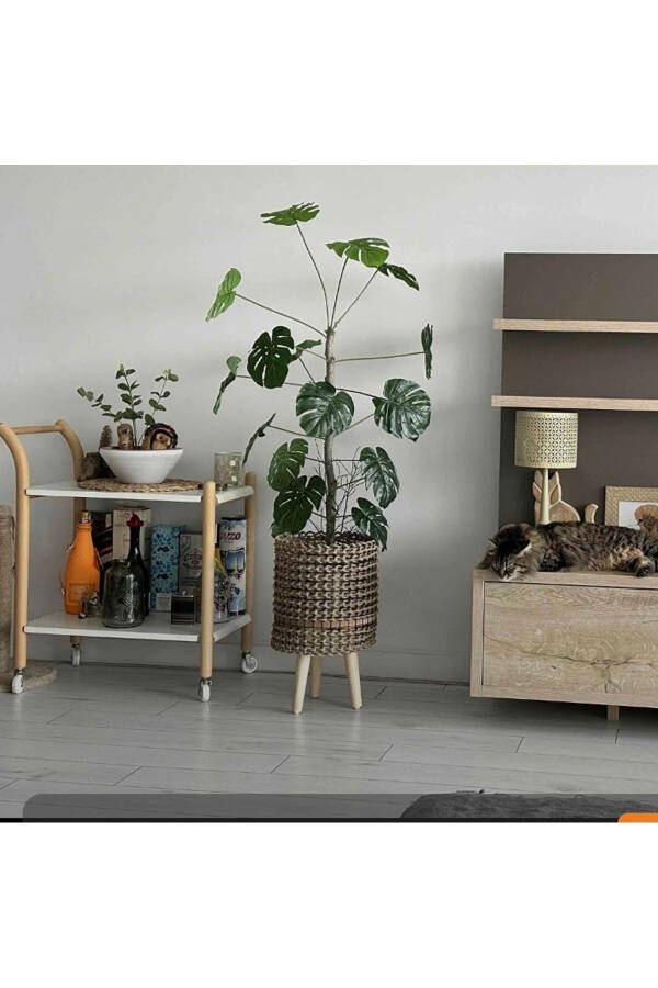 Pedestal Wicker Planter - 16