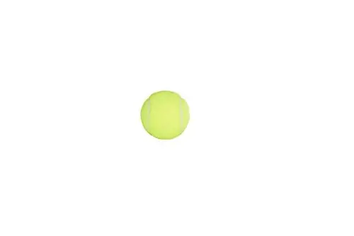 Penn Championship Tennis Balls - Extra Duty Felt Pressurized - 3 Balls (Pack of 4) - 3