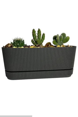 Pera 2 No Long Flower Pot Succulent Cactus And Plant Pot. 3 Litre - 3