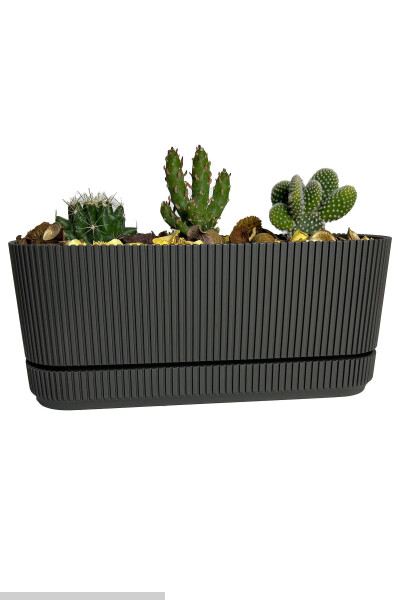 Pera 2 No Long Flower Pot Succulent Cactus And Plant Pot. 3 Litre - 10