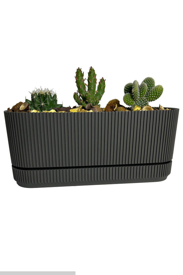 Pera 2 No Long Flower Pot Succulent Cactus And Plant Pot. 3 Litre - 10