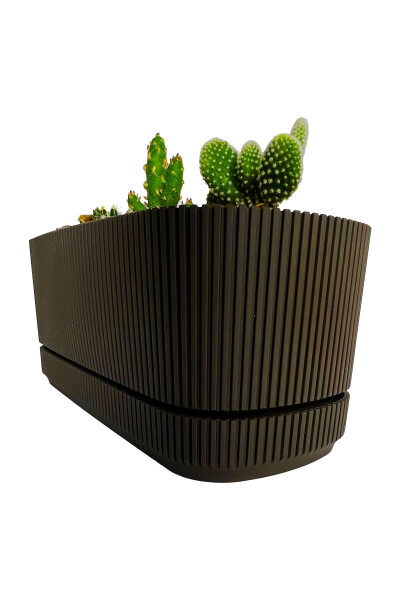 Pera 2 No Long Flower Pot Succulent Cactus And Plant Pot. 3 Litre - 12