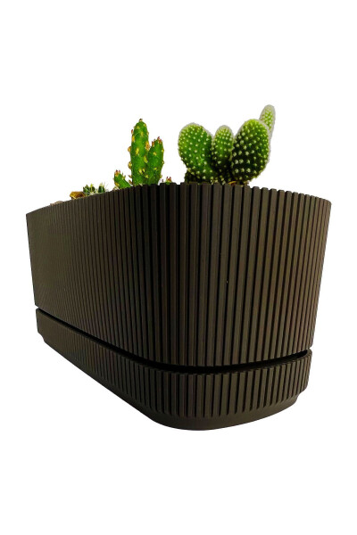 Pera 2 No Long Flower Pot Succulent Cactus And Plant Pot. 3 Litre - 5