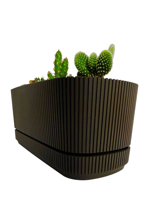 Pera 2 No Long Flower Pot Succulent Cactus And Plant Pot. 3 Litre - 5