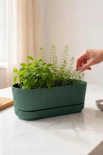 Pera 2 No Long Flower Succulent Cactus And Plant Pot. 3 Liters - Green - 1