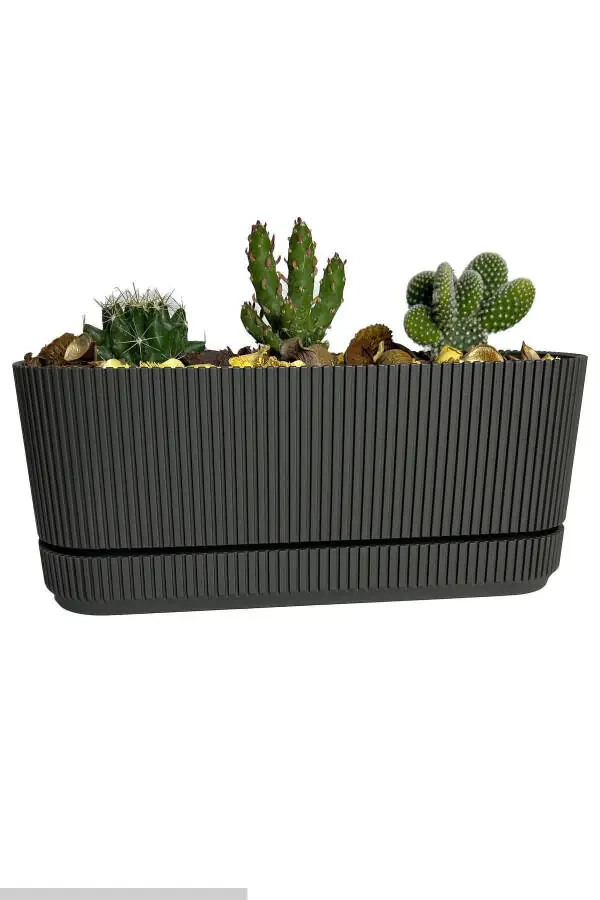 Pera 2 No Uzun Guldon Gullar, Sukulentlar, Kaktus Va O'simliklar Uchun. 3 Litr - 3