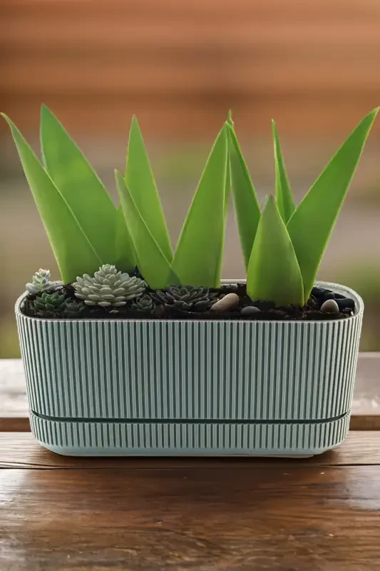 PERA No 2 LONG POT flower succulent cactus and plant pot. 3 LITER-AQUA GREEN - TEMMUZ HOME