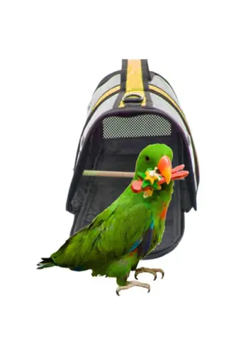 Perch, Mesh Parakeet Travel Bag (TRANSPARENT) Royal Milano-yellow (33CMX23CMX22CM) - 5