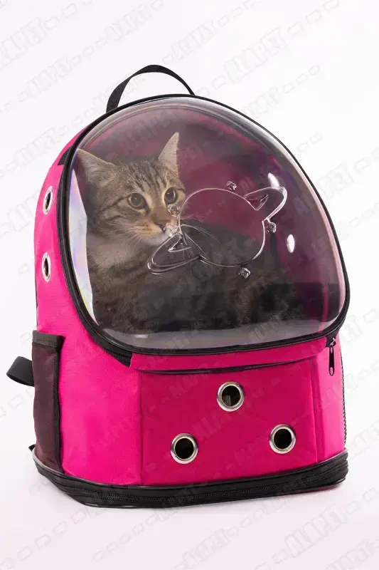 Переноска для кошек UFO Astronaut - 7 воздушных каналов, лапочный рисунок, 47x40x35см (15кг) - 4