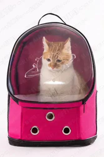 Переноска для кошек UFO Astronaut - 7 воздушных каналов, лапочный рисунок, 47x40x35см (15кг) - 5