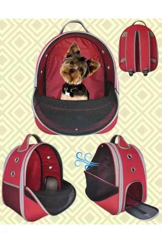 Pet Mesh Backpack Carrier Paris Red 