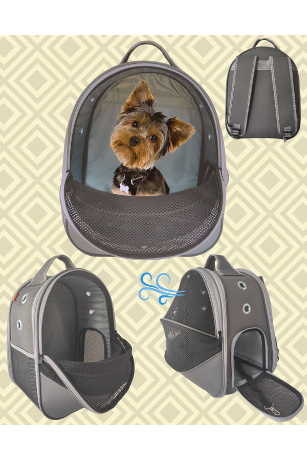 Pet Mesh Backpack Carrier Paris Smoke - 1