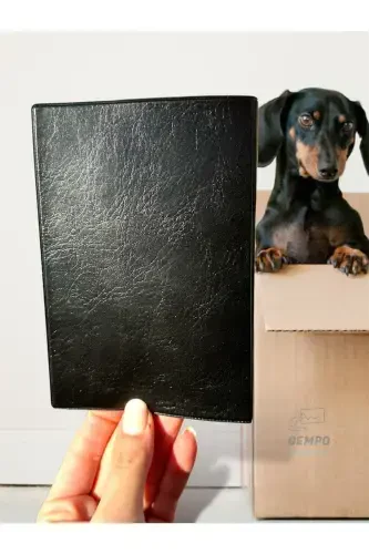 Pet Passport Holder Cover Waterproof Pet Passport Case-Black - GEMPO (1)