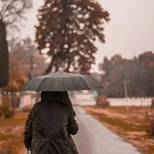 PFFY 2 Packs Travel Umbrella Shamolga chidamli Avtomatik ochiladigan va yopiladigan Yig'iladigan Kichik ixcham Ryukzak Avtomobil sayohati uchun zarur bo'lgan narsalar Yomg'ir uchun hamyon Soyabonlar - 3