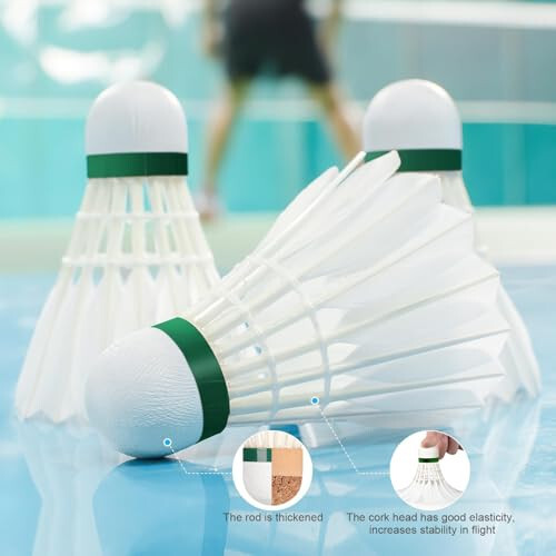 Philonext Goose Feather Badminton Shuttlecocks Birdies, 12 Pack Hight Speed Training Badminton Balls with Great Stability for Indoor Outdoor - 4