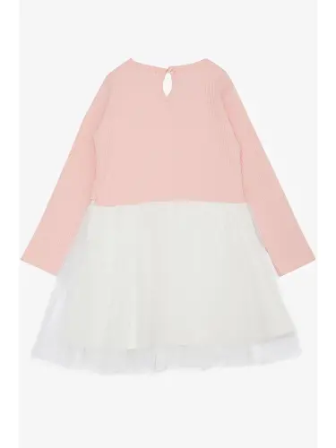 Pink Girls Long Sleeve Tulle Dress Salmon (3-4 Years)-Pink - LC WAIKIKI (1)