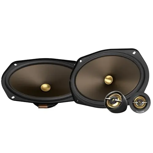PIONEER A-Series MAX TS-A693CH 6