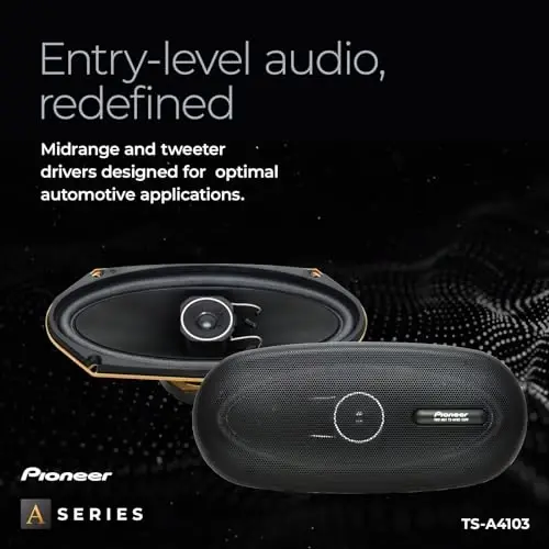 PIONEER A-Series TS-A4103 4